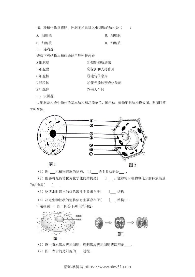 图片[3]-七年级上册生物第二单元第一章第四节试卷及答案(Word版)-清风学科网