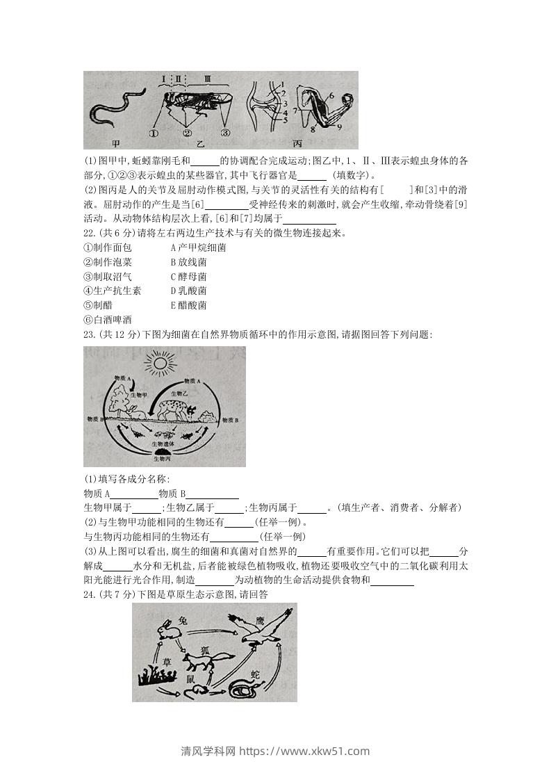图片[3]-2020-2021学年河南省新乡市卫辉市八年级上学期期中生物试题及答案(Word版)-清风学科网