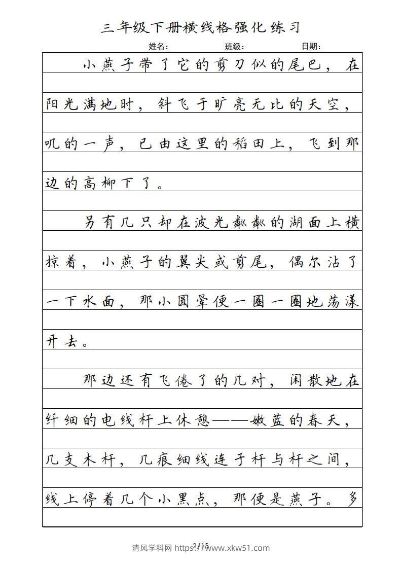 图片[2]-三年级语文下册横线格（部编版）-清风学科网