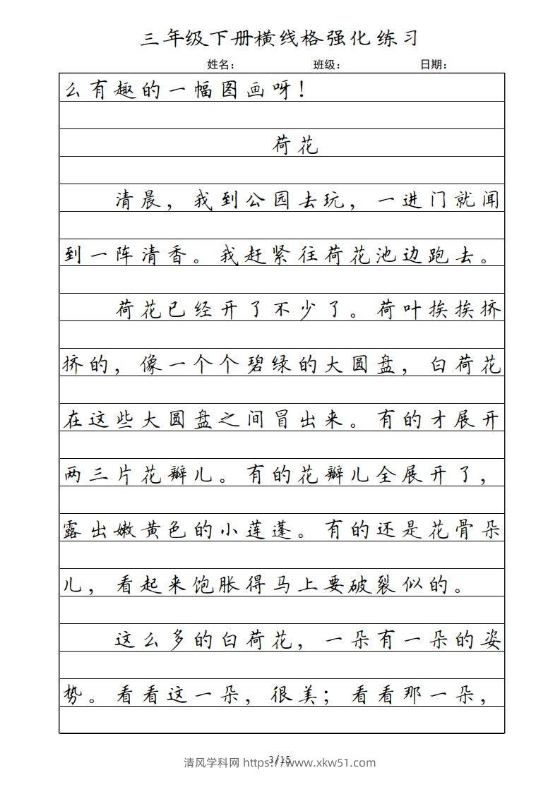 图片[3]-三年级语文下册横线格（部编版）-清风学科网